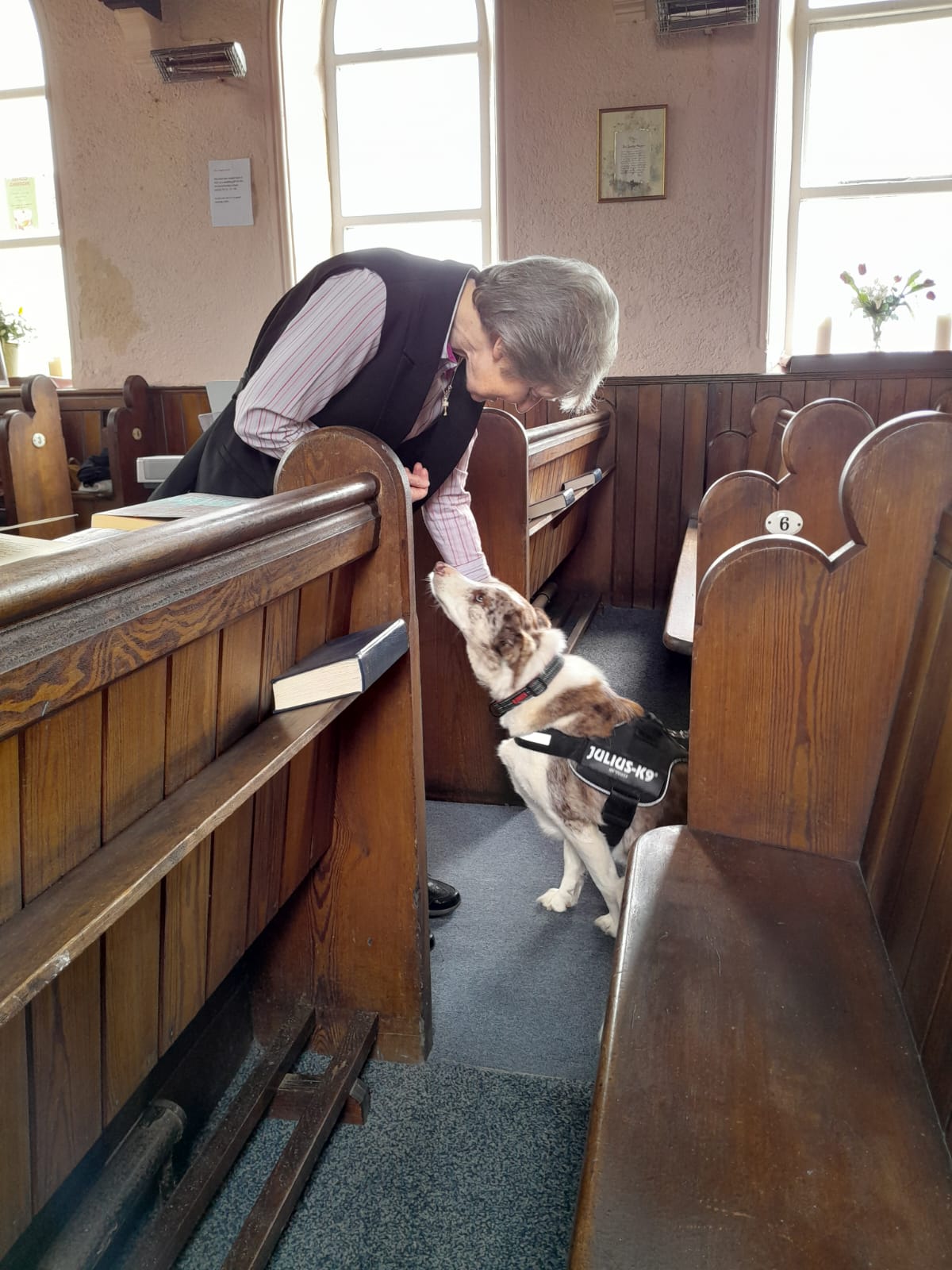 Animal Blessing dog in the chapel