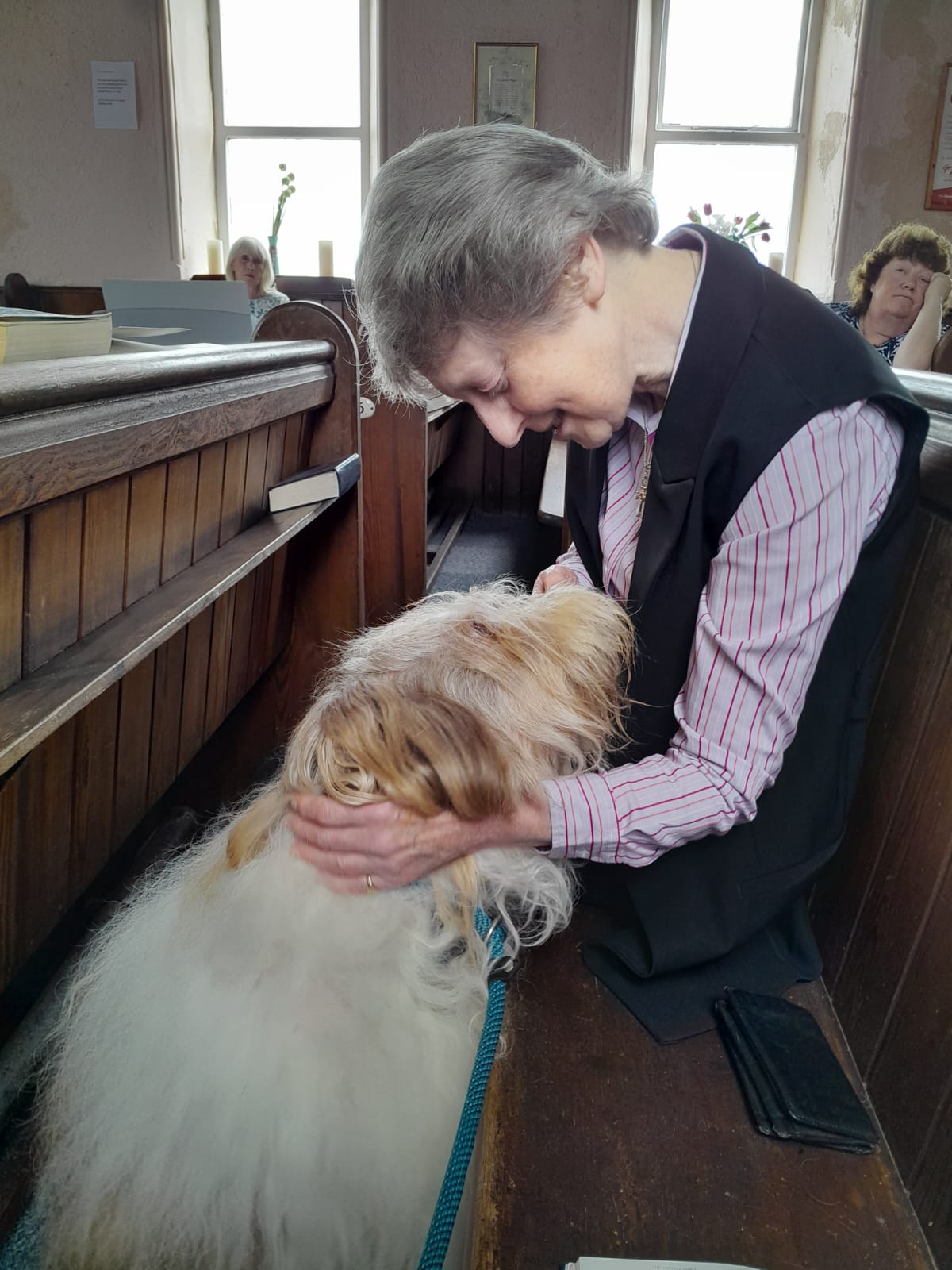 Animal Blessing dog in the chapel