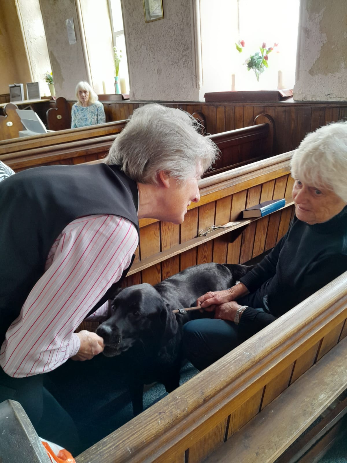 Animal Blessing dog in the chapel
