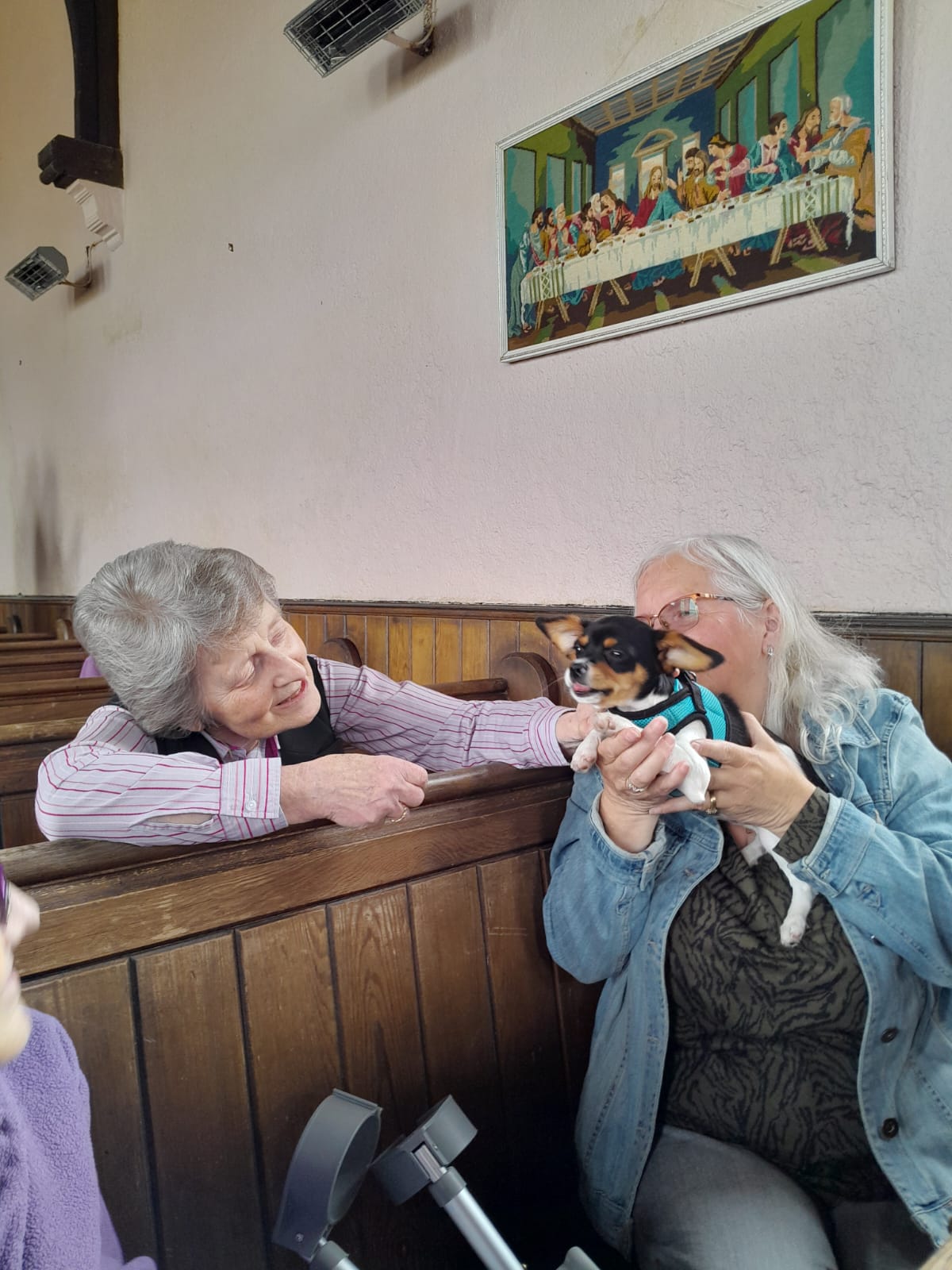 Animal Blessing dog in the chapel