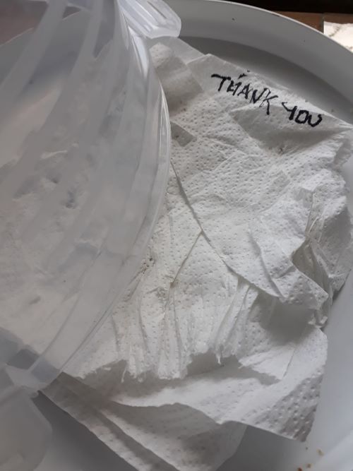 Cake for the road workers