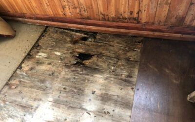 Building repairs