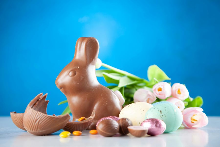 Chocolate bunny and eggs
